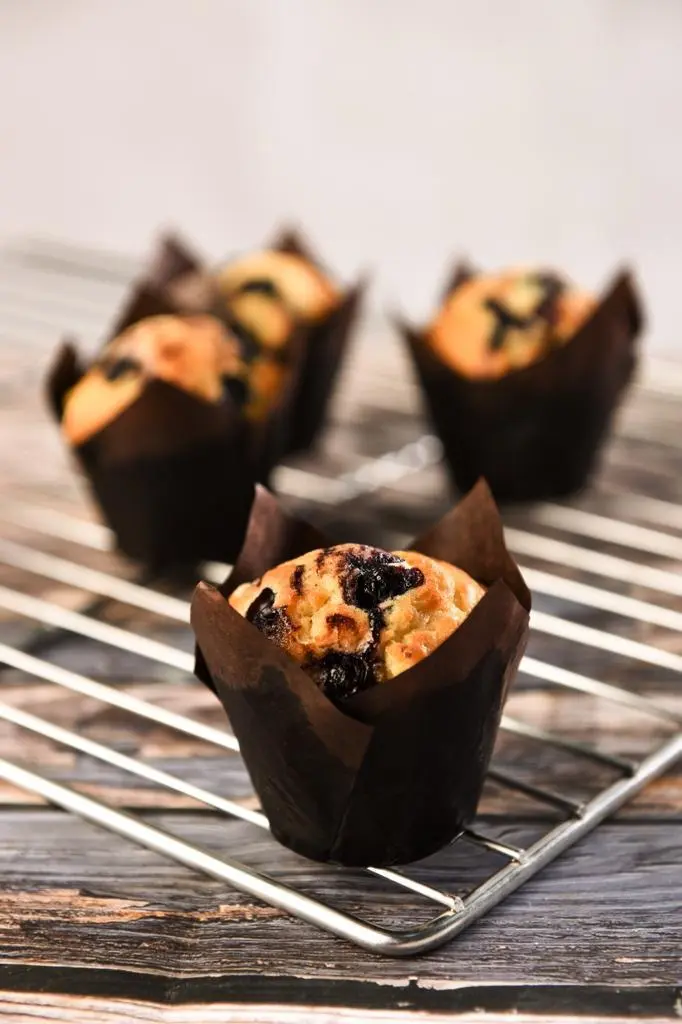 BLUEBERRY MUFFINS 2PCS