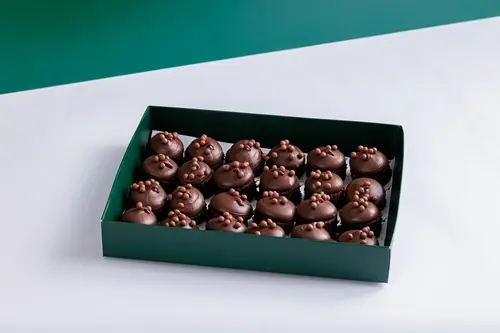 CHOCOLATE BITES 24PCS